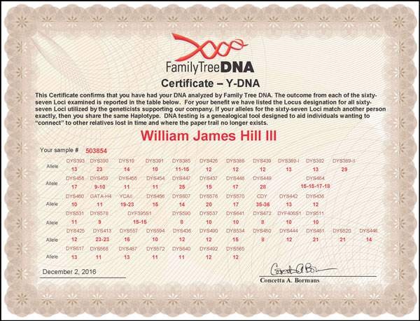 William James Hill Certificate